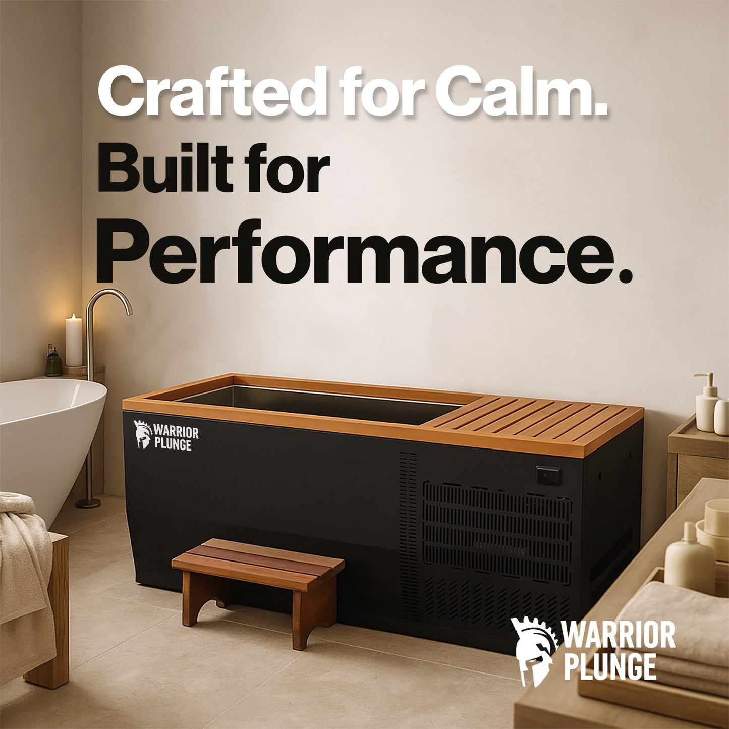 WARRIOR PLUNGE CLASSIC - Ice Bath Spa with Timber & Stainless Steel Finishing