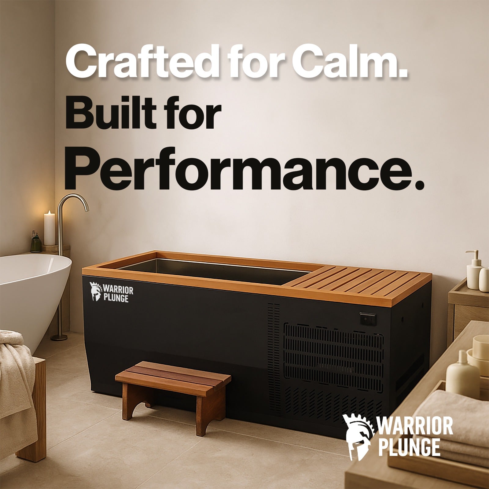 WARRIOR PLUNGE CLASSIC - Ice Bath Spa with Timber & Stainless Steel Finishing